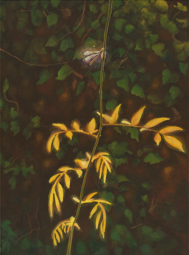 'Libelle' Acrylic and pencil on canvas, 30 x 40 cm, 2025