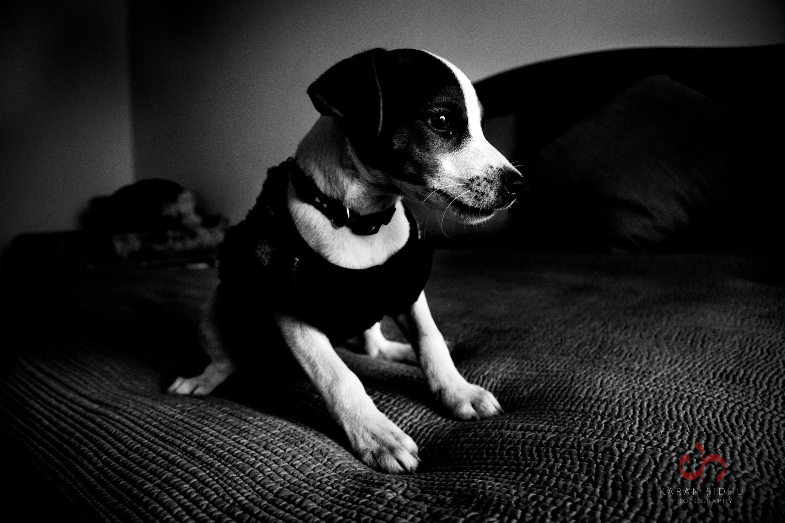 BO-TA-Day 3-LR-10.JPG