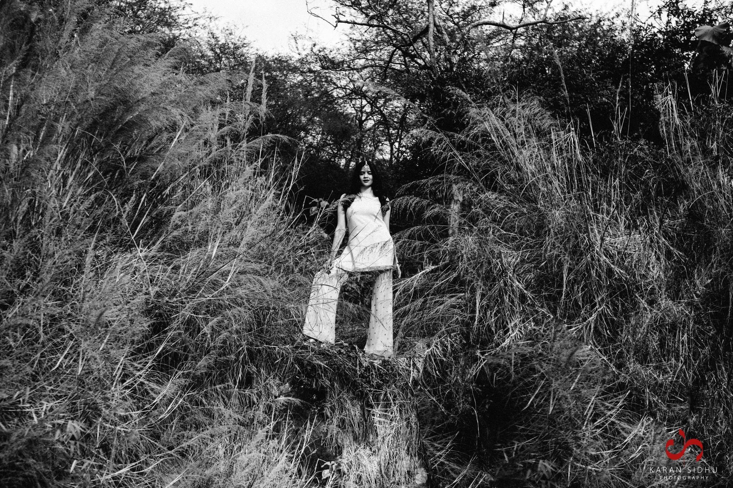 SA-Interim Edits-3.jpg