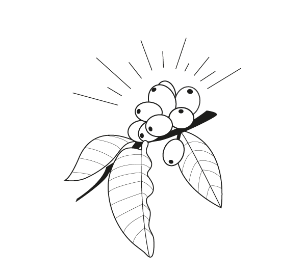 oytsourcing-ethicscoffee.png