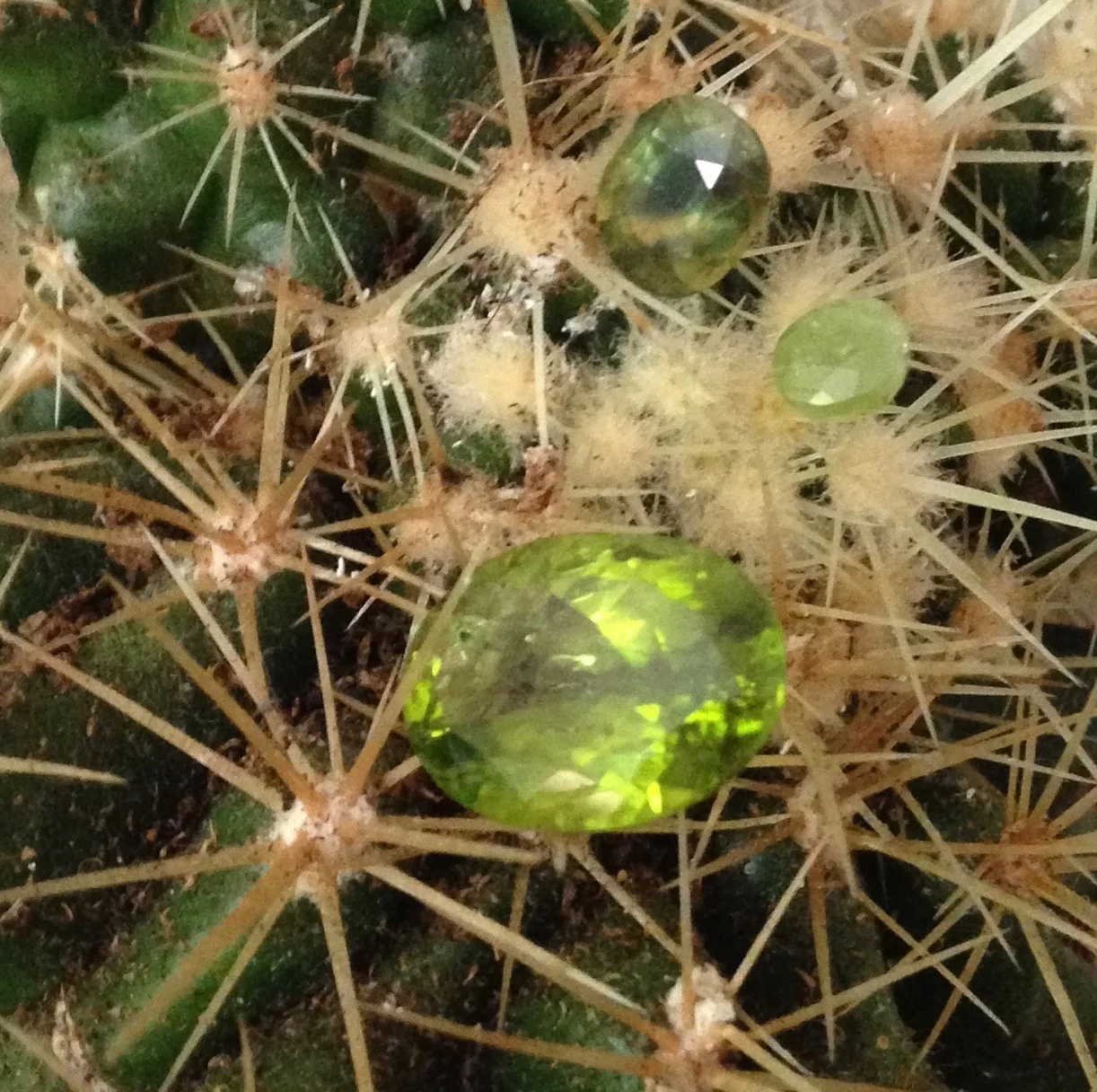 CACTUNA BERDE Meaning green cactus. These stones will be the hearth of the design.