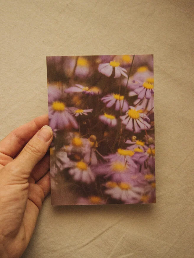 A6 postcard - Wildflower Dreamscape