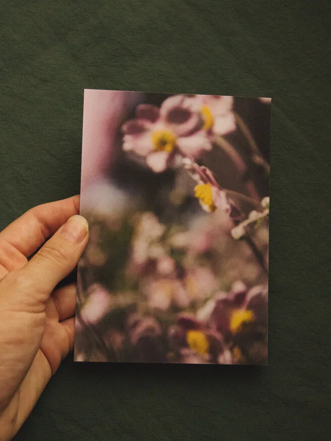 A6 Postcard - Anemone Garden