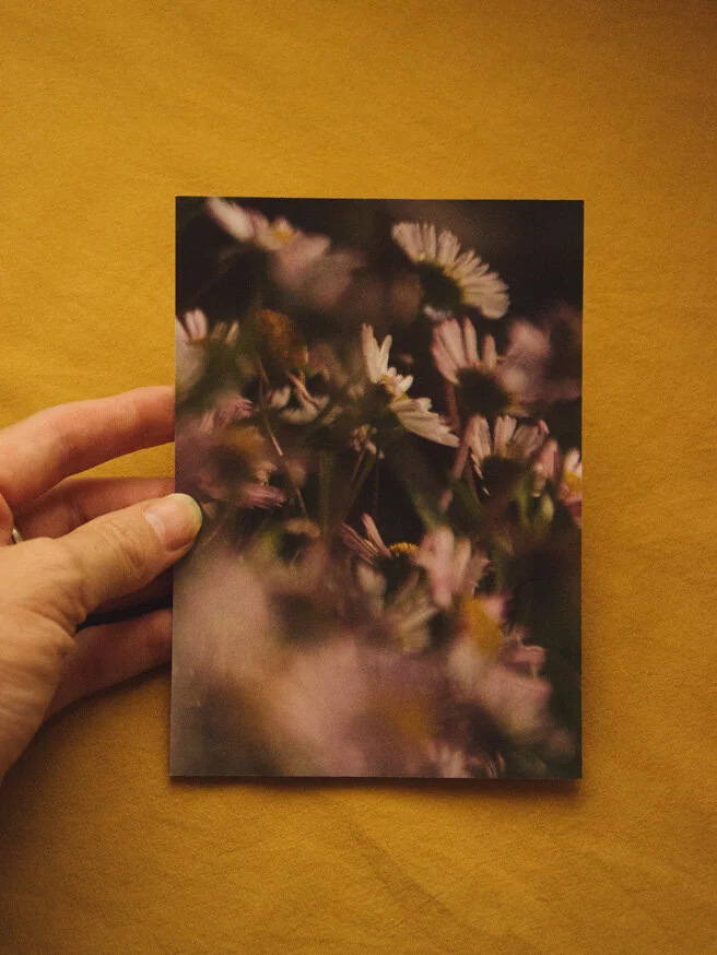 A6 Postcard - Daisy Days