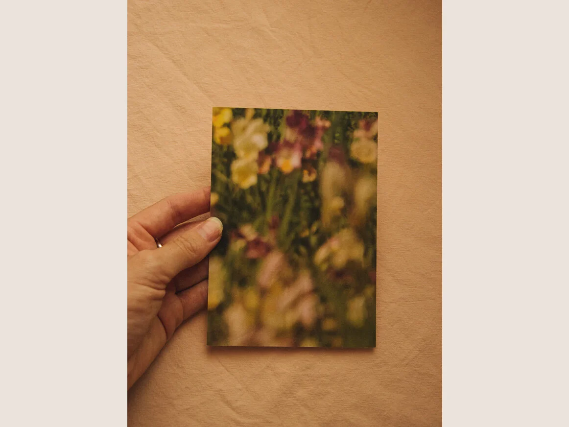 ameliso_website_04-Wild-Freesias_01.jpg