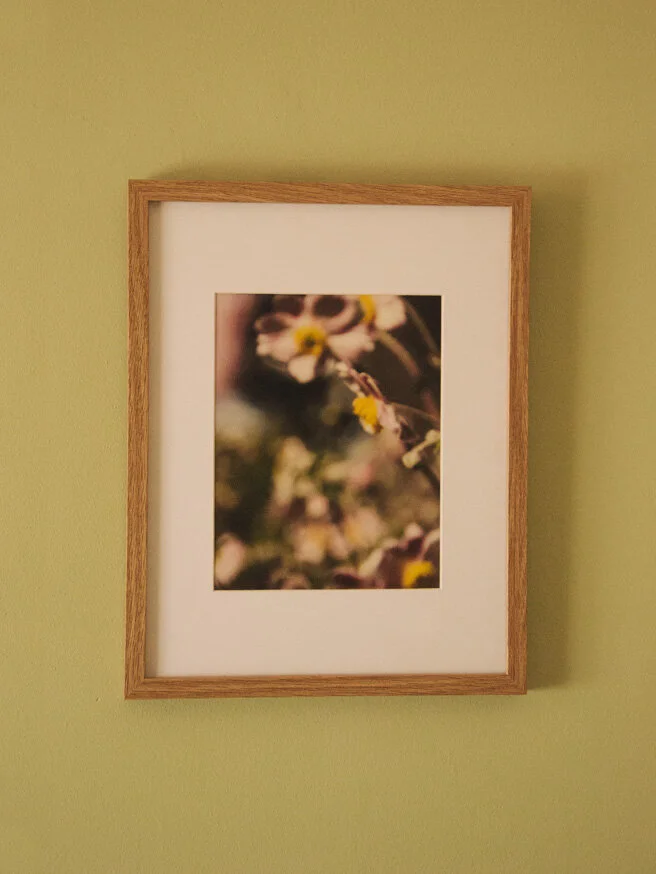 Anemone Garden print