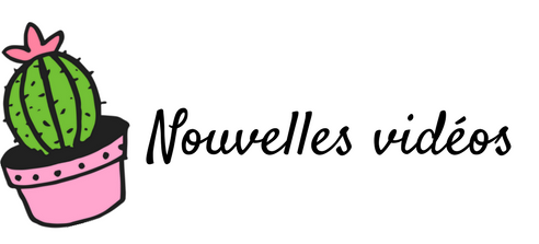Copy of Nouvelles vidéos (2).png