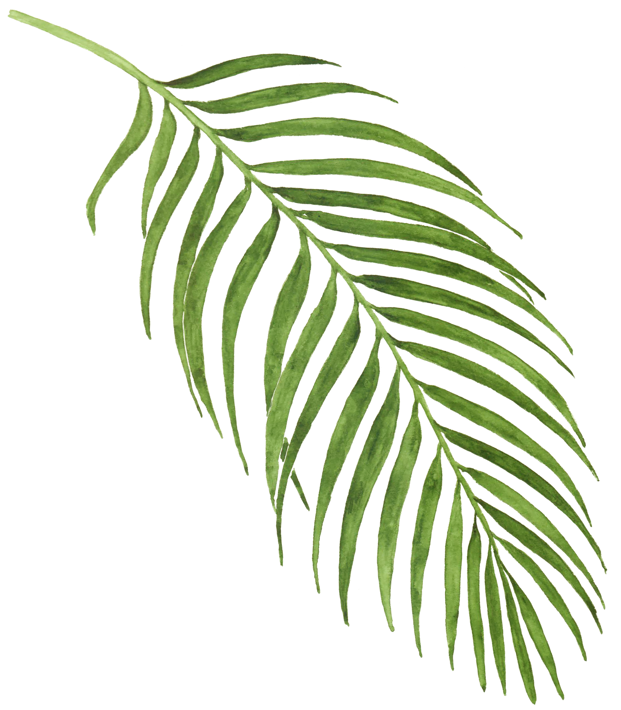 10.png