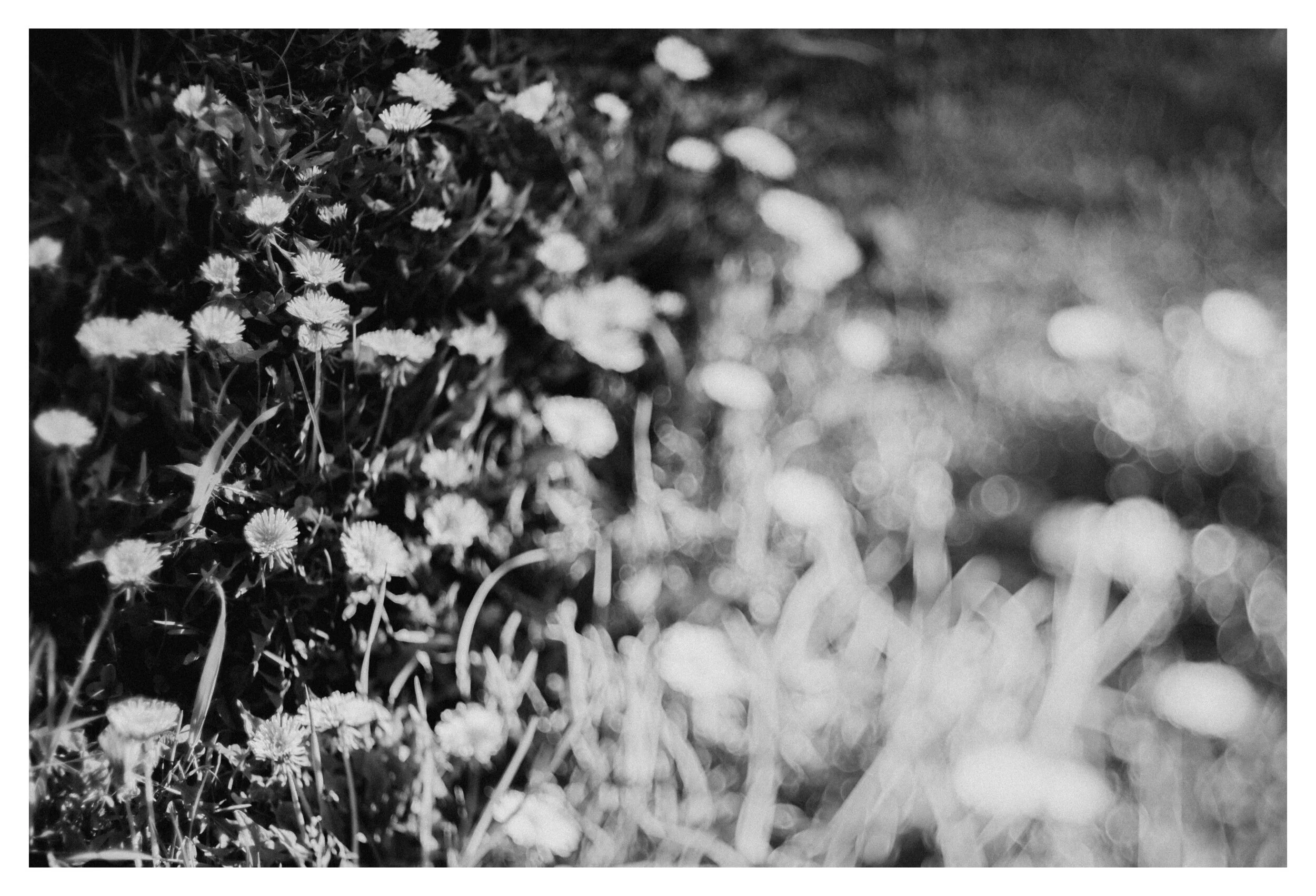 Whitagram-Image 19.JPG