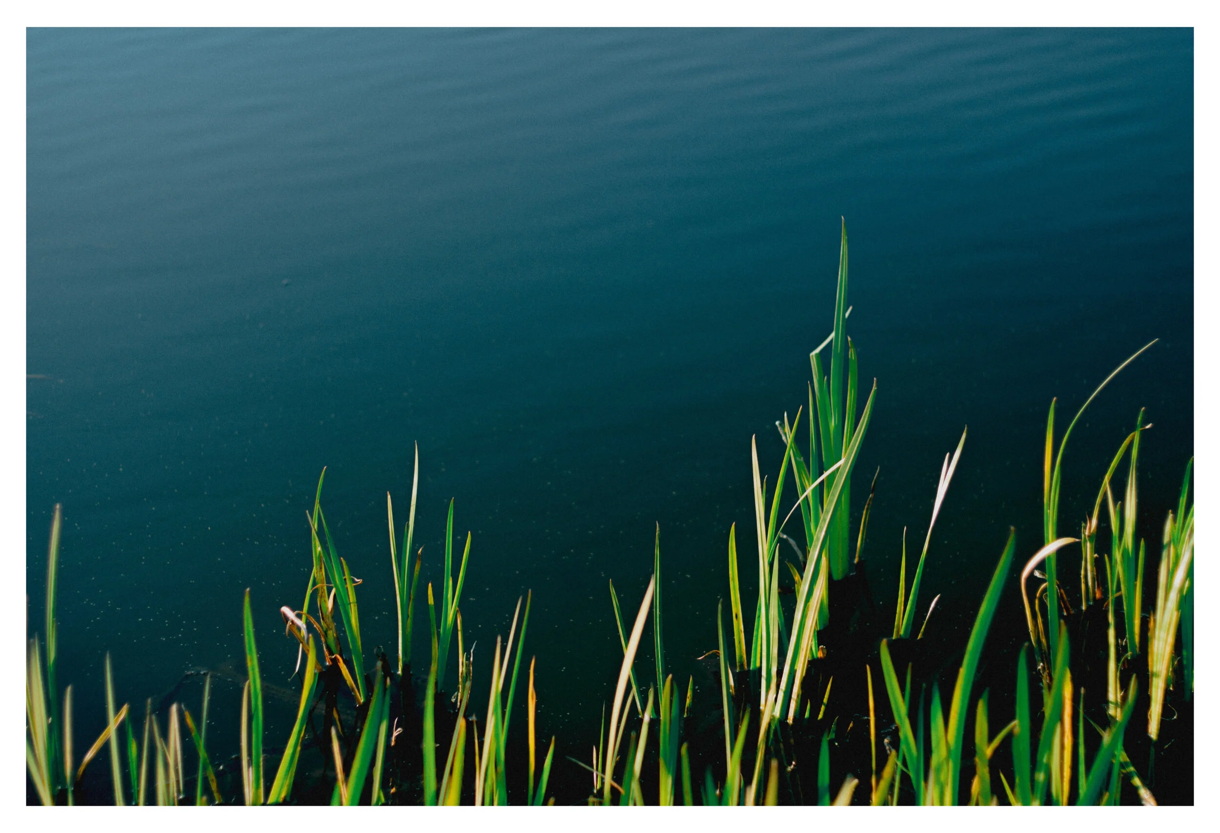 Whitagram-Image 20.JPG