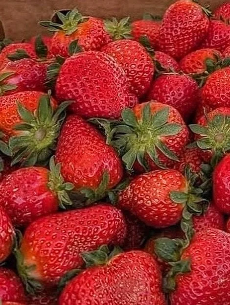 🍓 Fresh this week at Old Farm Truck Market!
Local strawberries just arrived from Agriberry Farm in Hanover, VA &mdash; sweet, fresh-picked, and paired with rhubarb for any bakers in the house. We&rsquo;ve also restocked our beef freezer with hormone