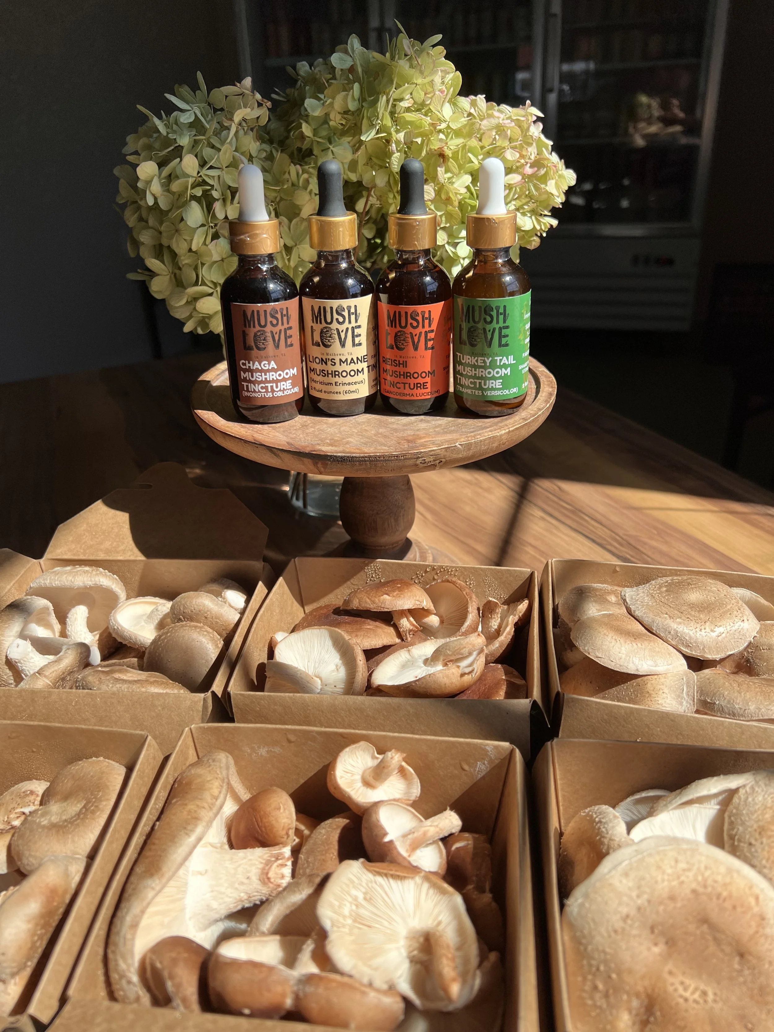 OFT Newsletter: September 8 - 12, 2026 