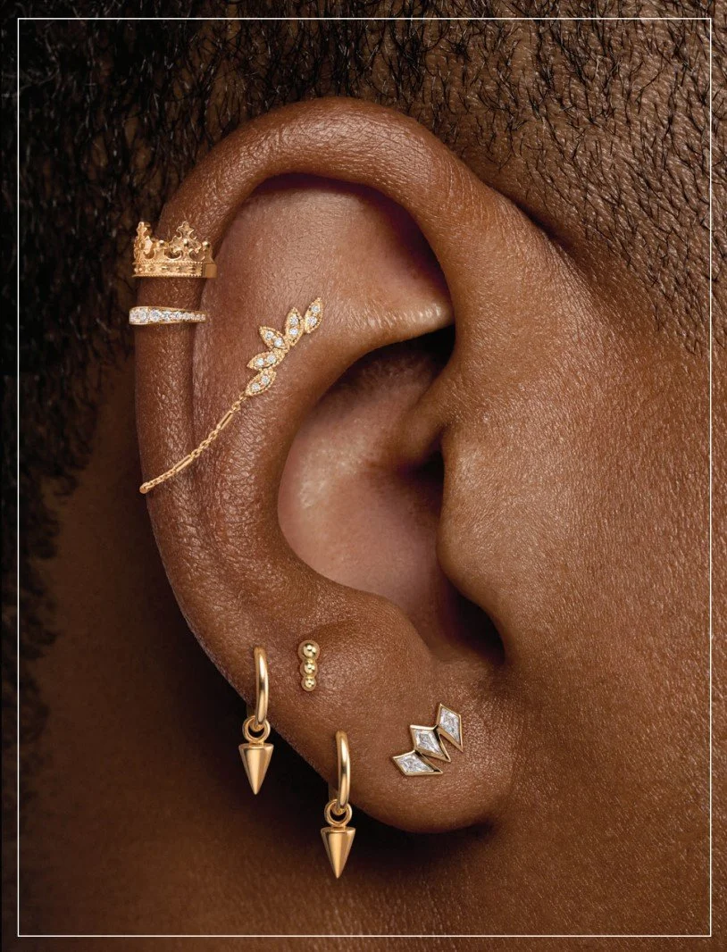 BVLA BEI UNS ERHÄLTLICH