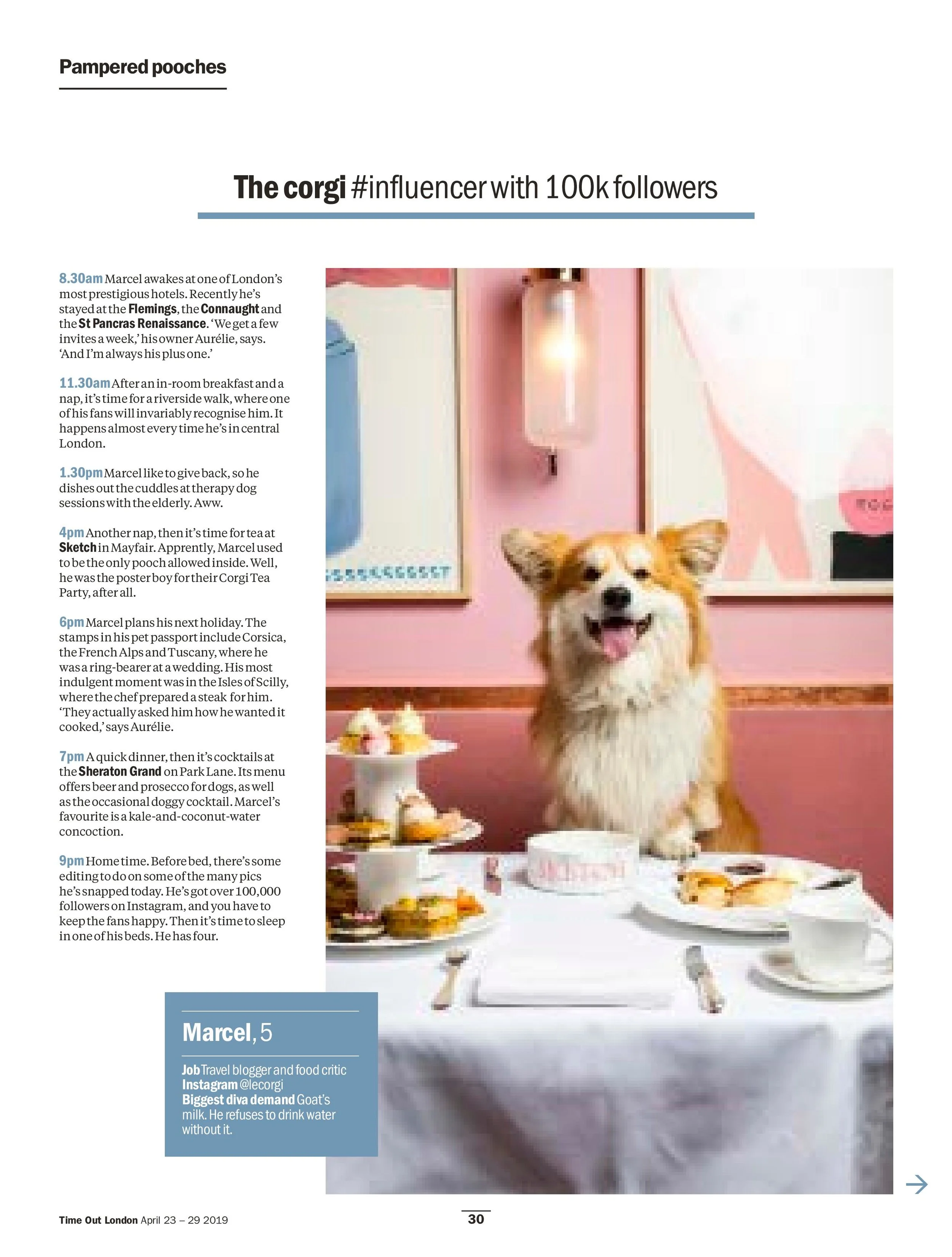 2527 FEATURE Dogs Proofs-page-002.jpg