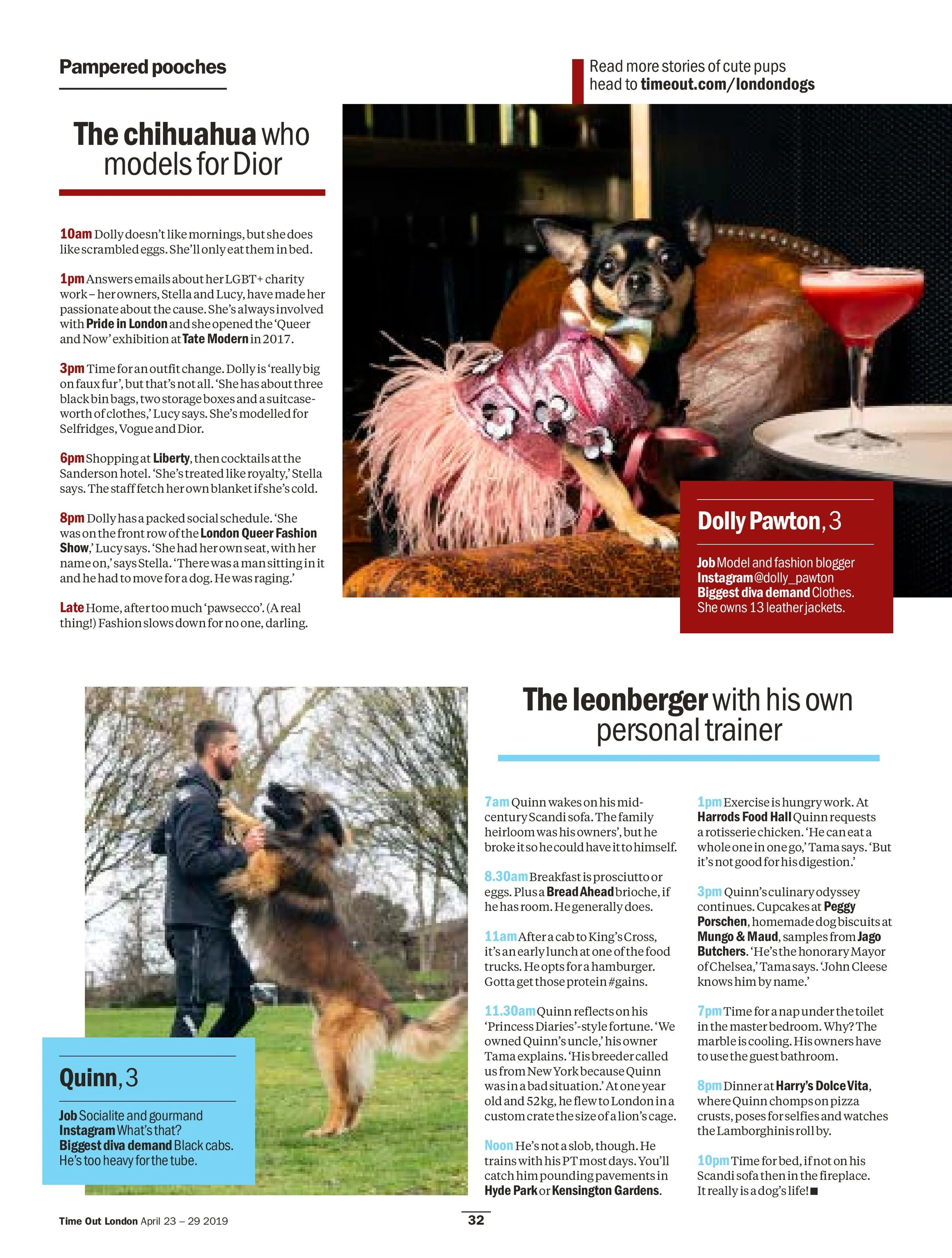 2527 FEATURE Dogs Proofs-page-003.jpg