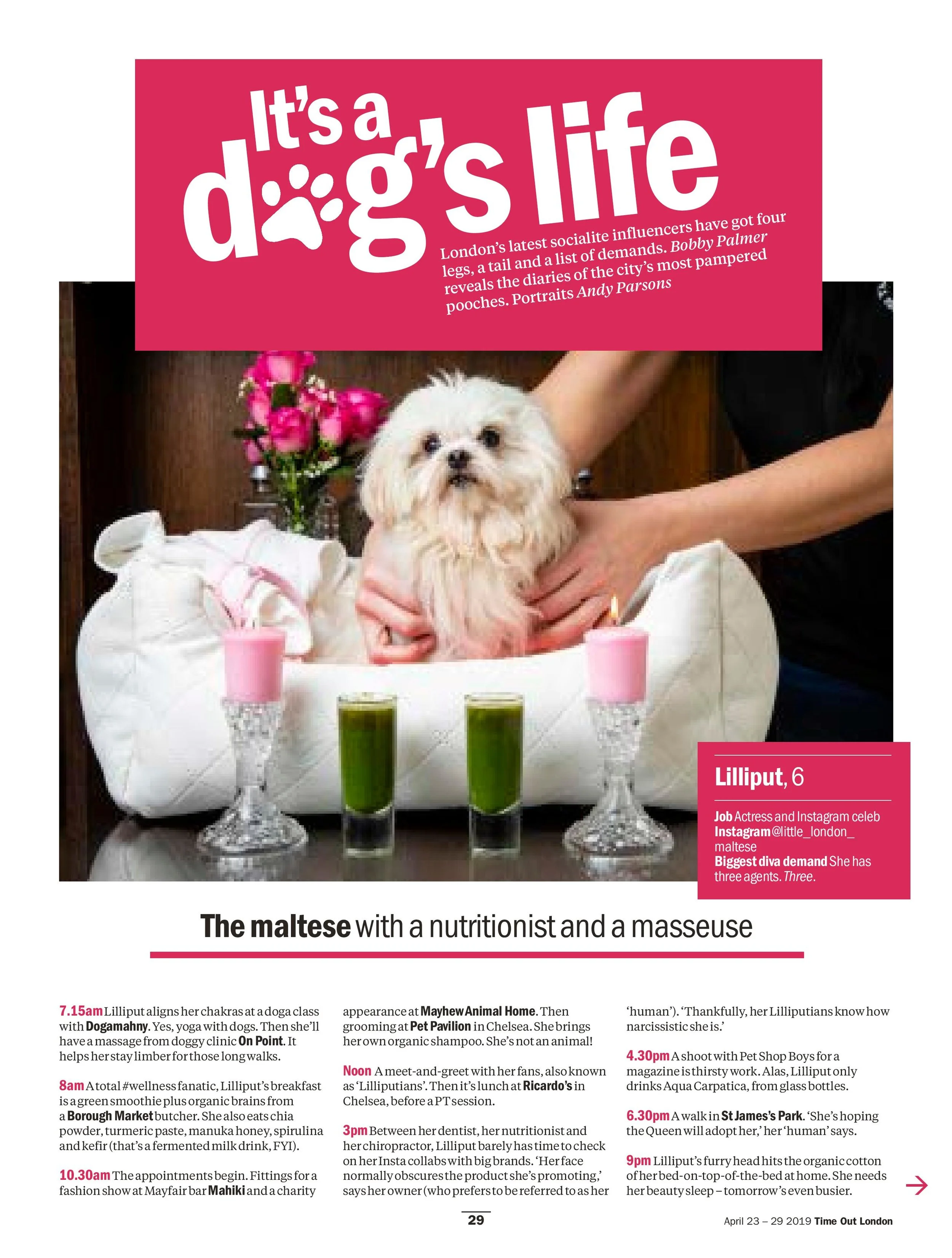 2527 FEATURE Dogs Proofs-page-001.jpg