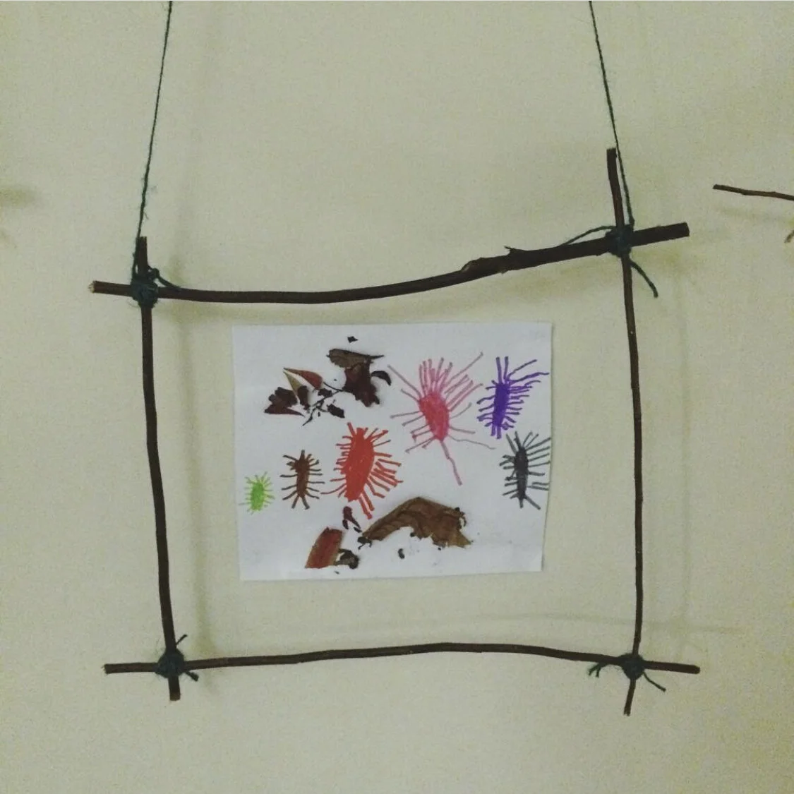 IMG-1693.jpg