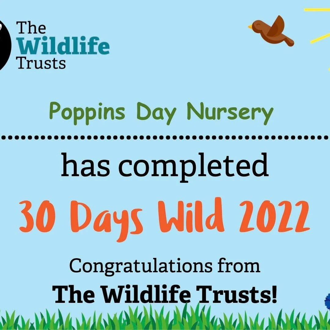 What an amazing '30 Days Wild' we have had! 🌿

From making a pond to bird watching, creating pieces of art with pressed flowers to talking about bees and other creatures, we have become the best wilderness explorers 🕵️&zwj;♀️🦋🐛🕷

The children ha