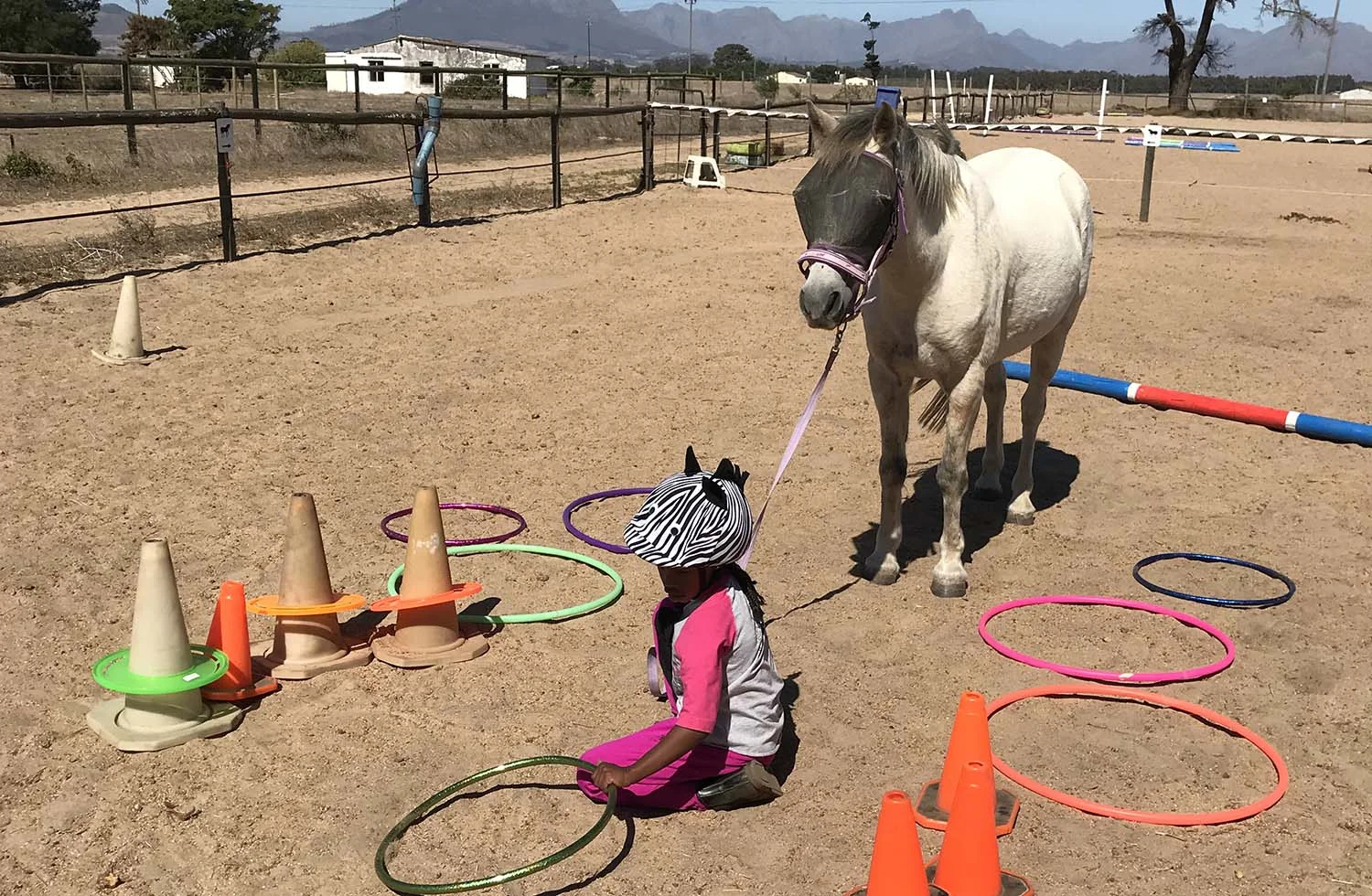 equine-assisted-learning-services-equitots.jpg