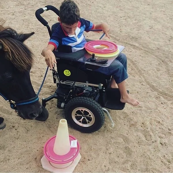 muscles-joints-wheelchair.jpg