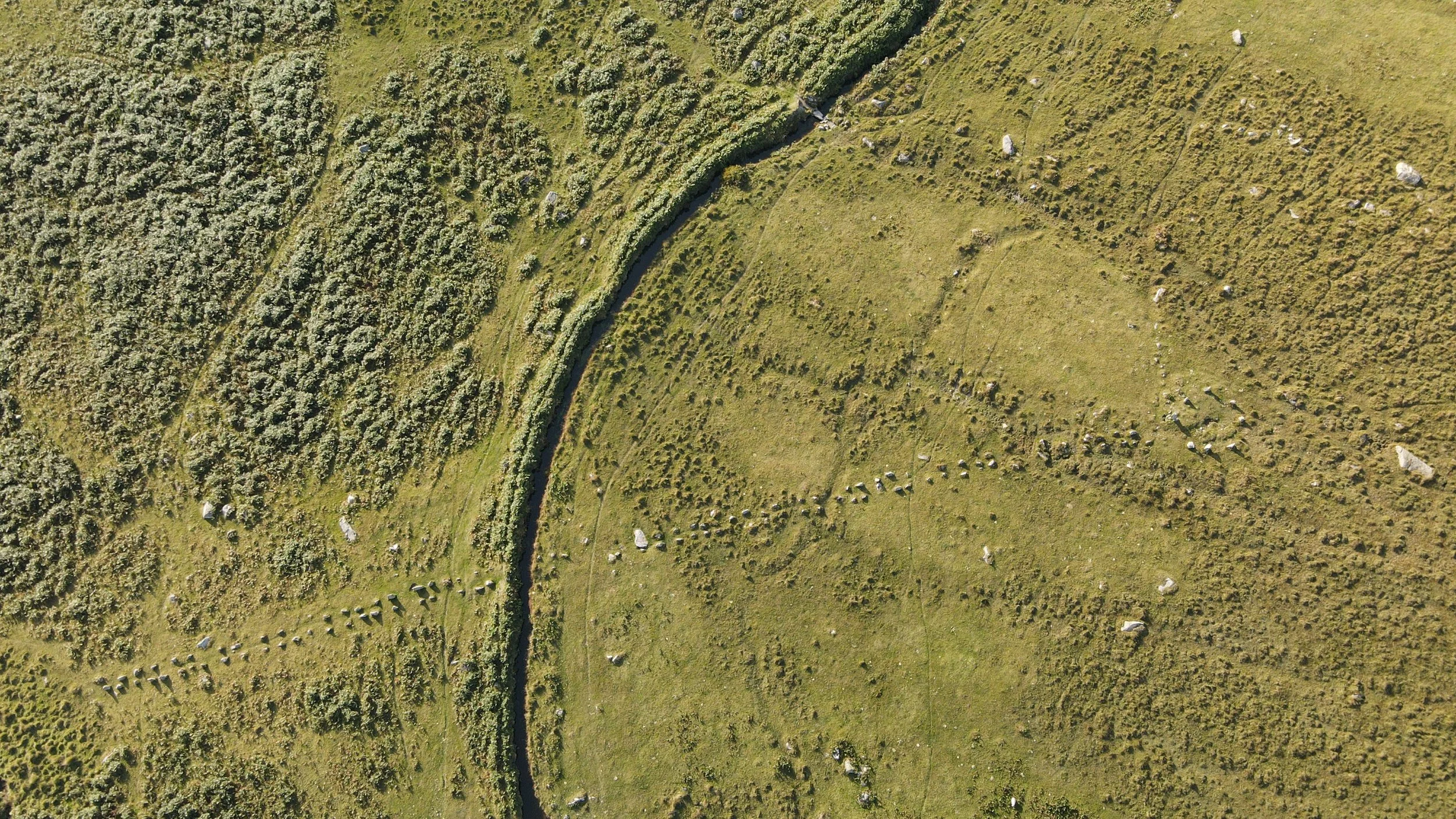 Pulpit Stone, Dartmoor, South Devon