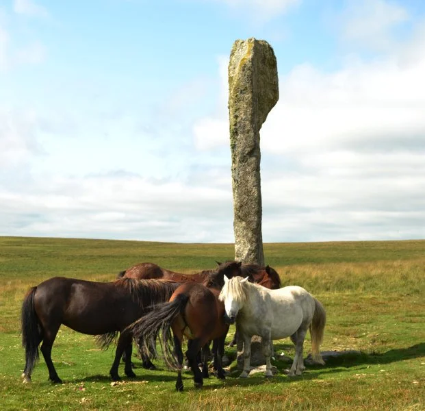 Drizzlecombe Monolith, Dartmoor, South Devon