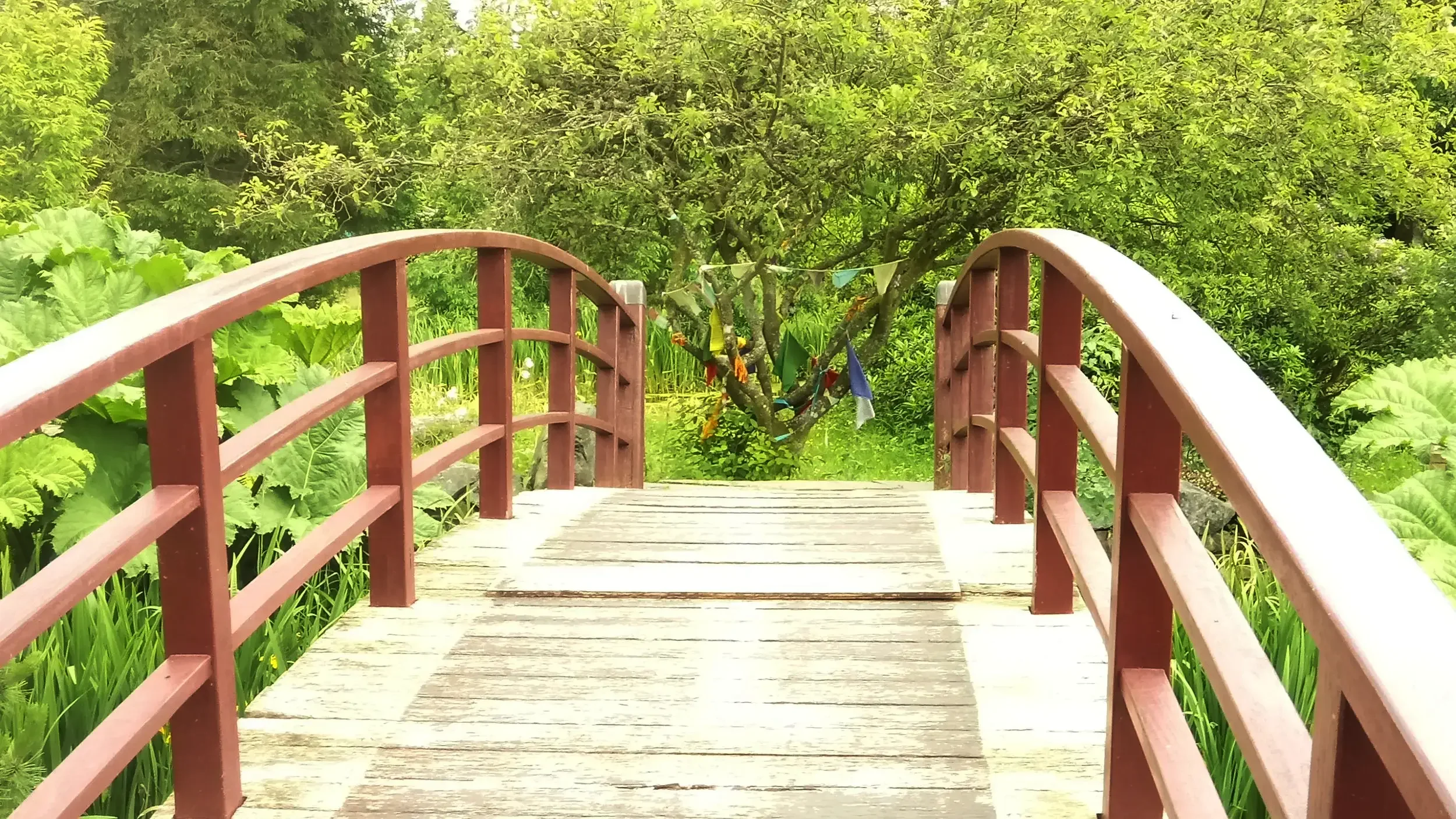 A bridge which represents a metaphor from animals passing