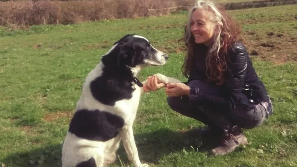 Liz Meadows with a dog who is giving her its paw