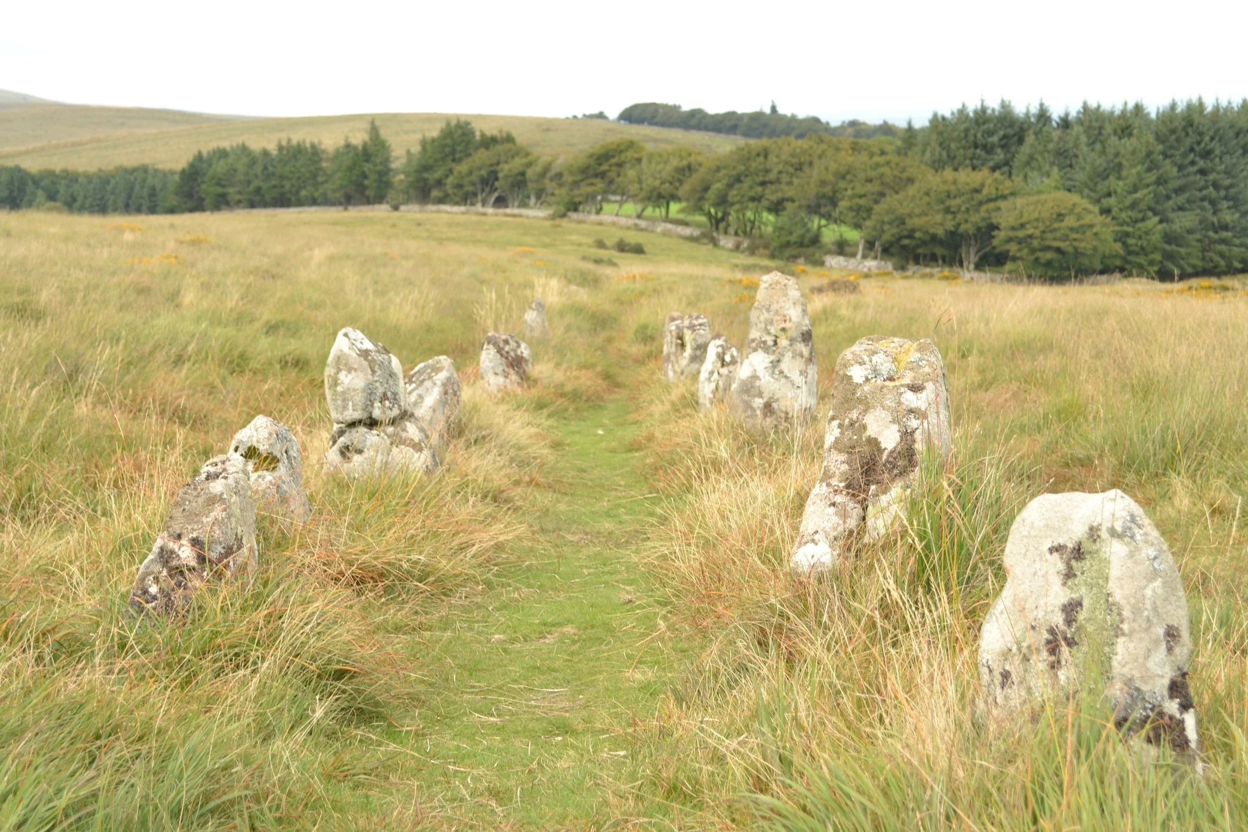 Shovel Down Ceremonial Complex, Dartmoor