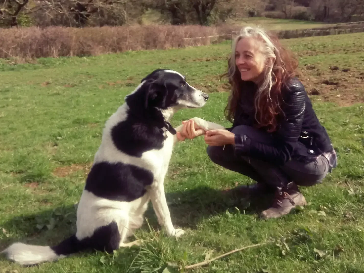 Liz Meadows in a field with a dog who is giving her its paw