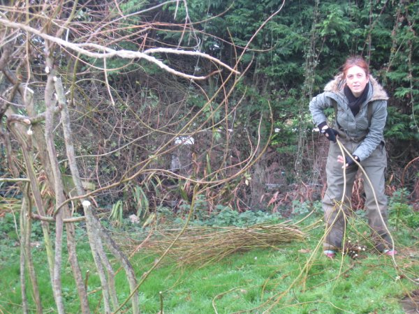 Liz Meadow in the garden