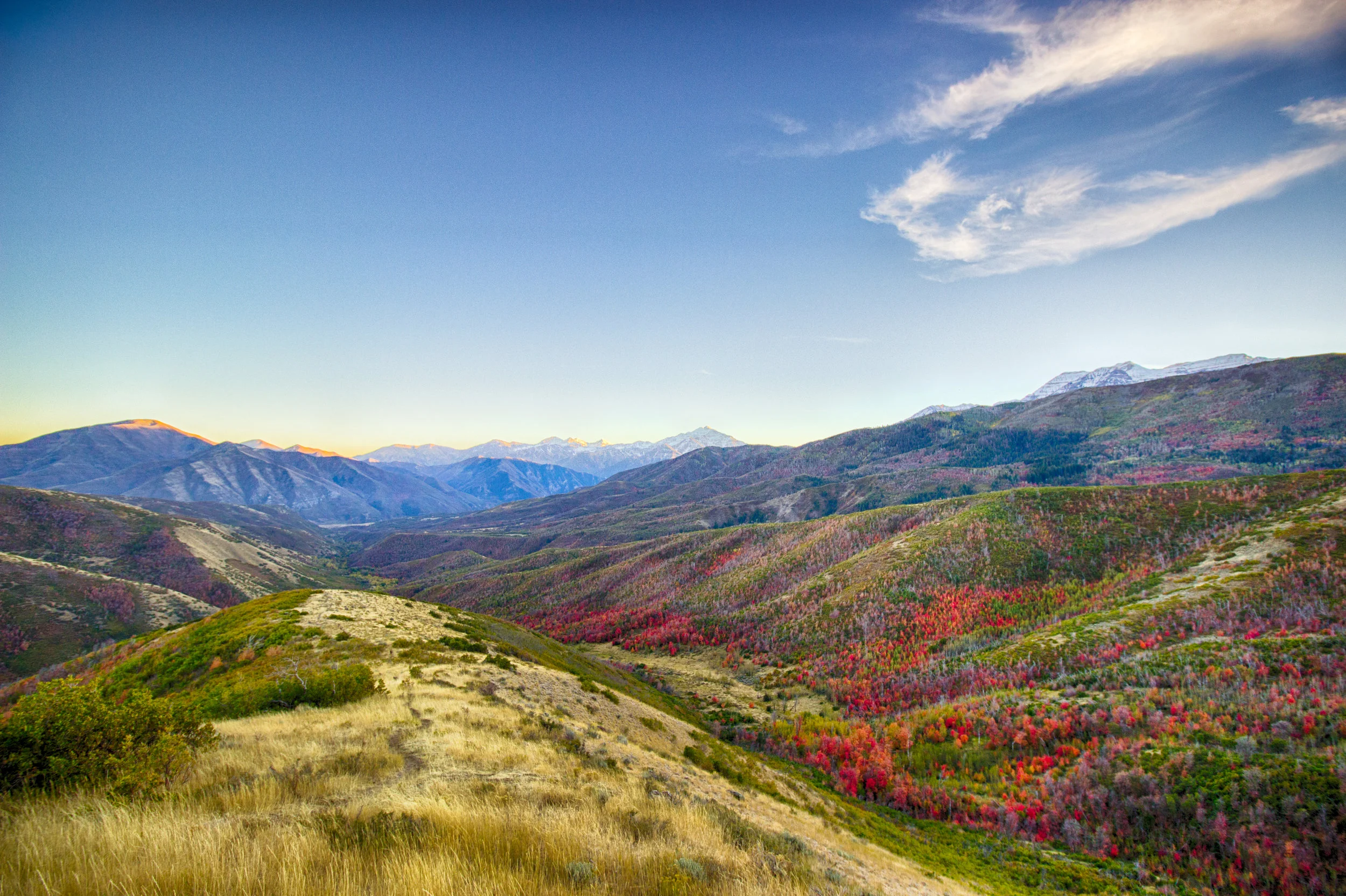IMG_3984-Edit_HDR.jpg