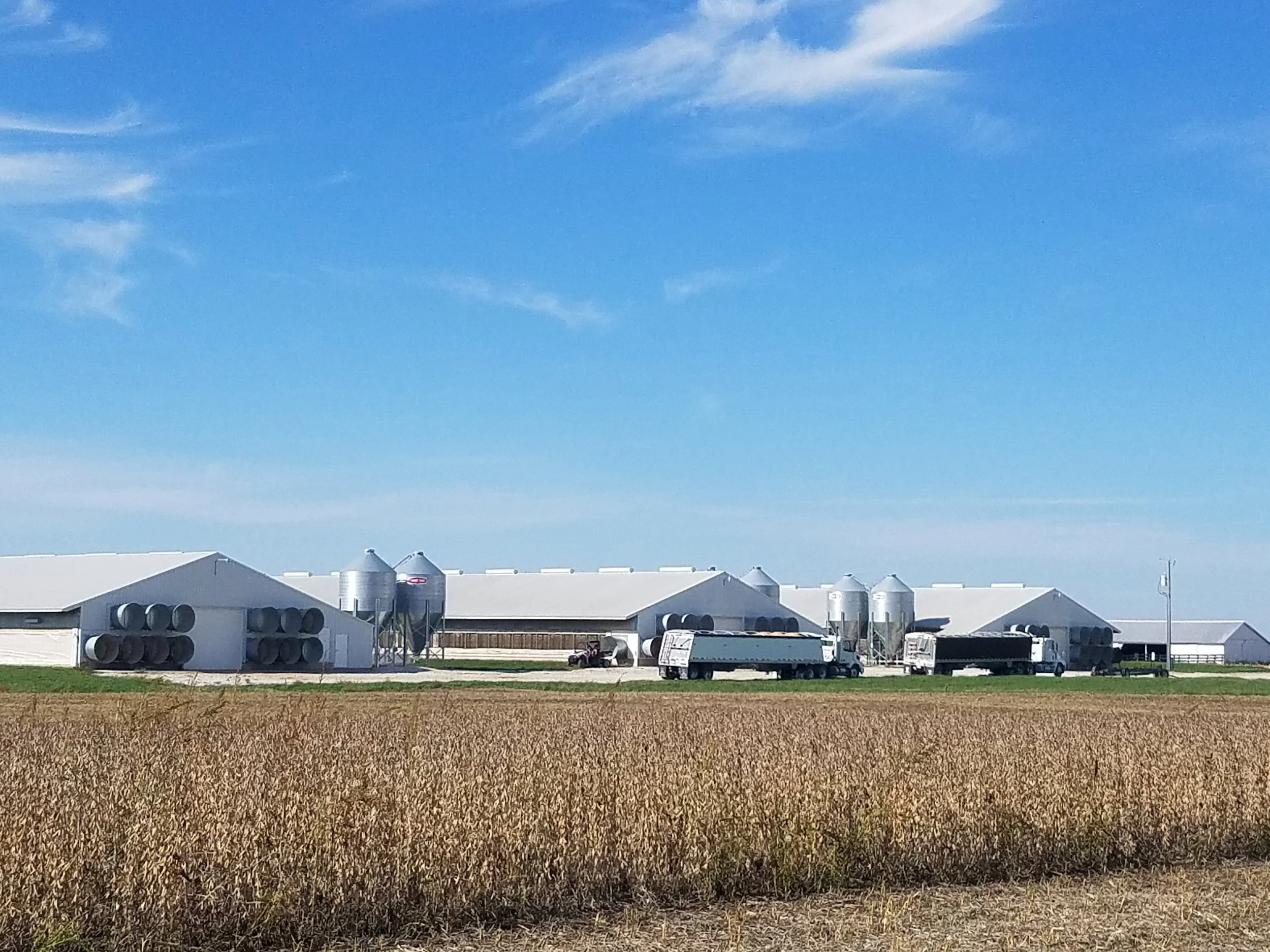 On The Farm — Iowa Turkey Federation