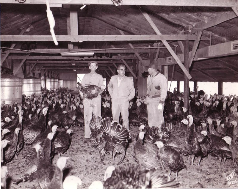 Our History — Iowa Turkey Federation