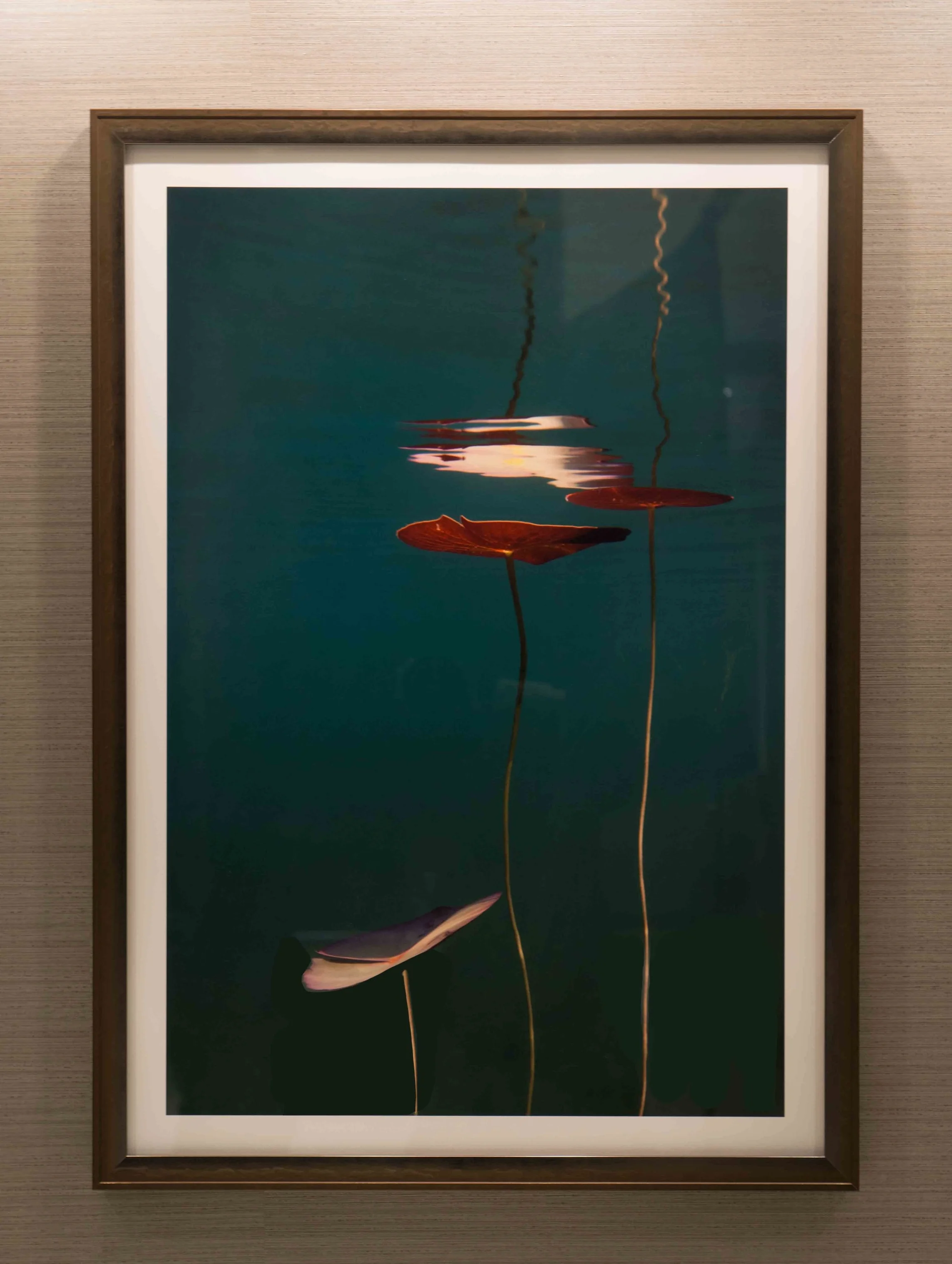 Water Lily Study No. 4 by William Scully