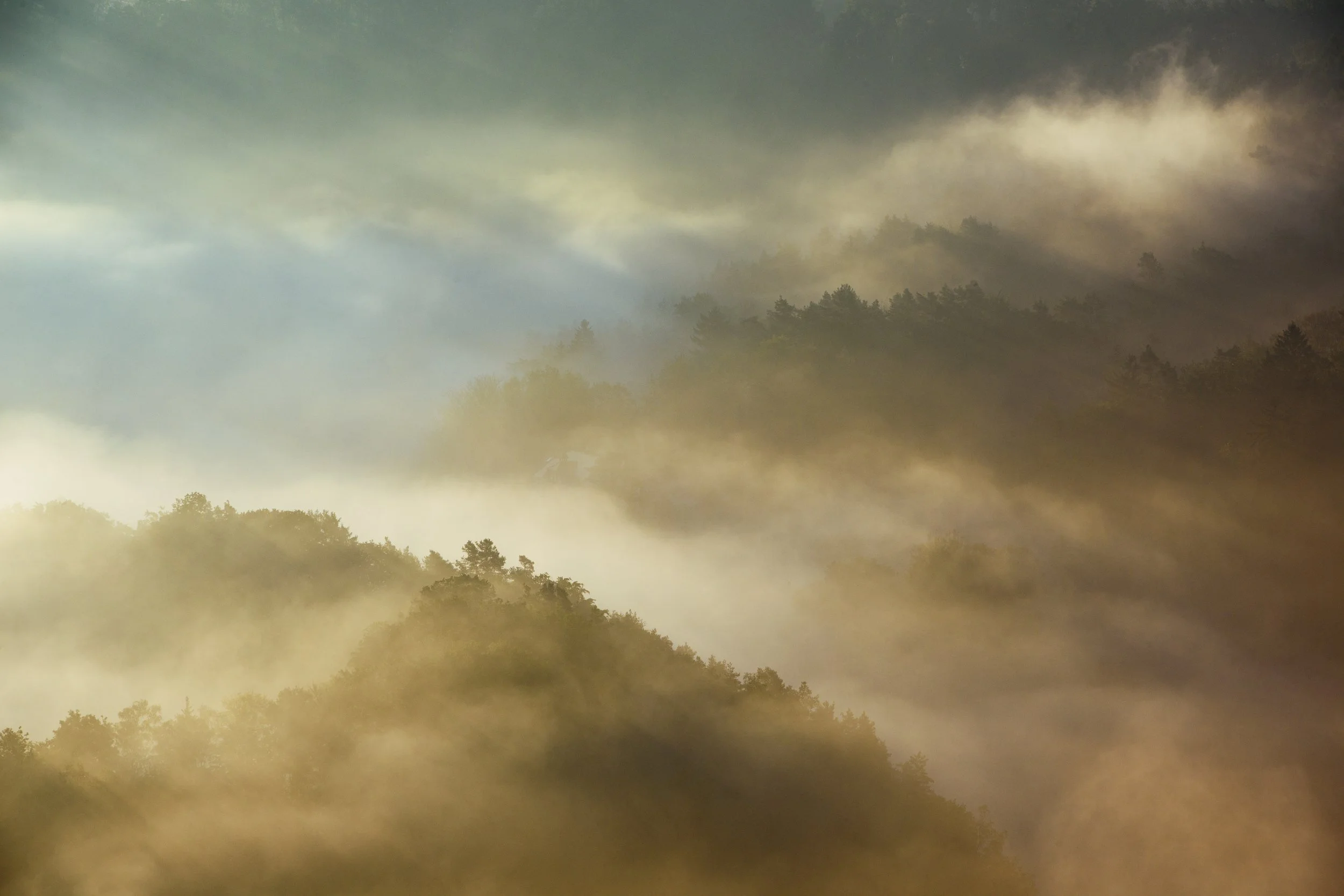 Whatever your photographic goals...