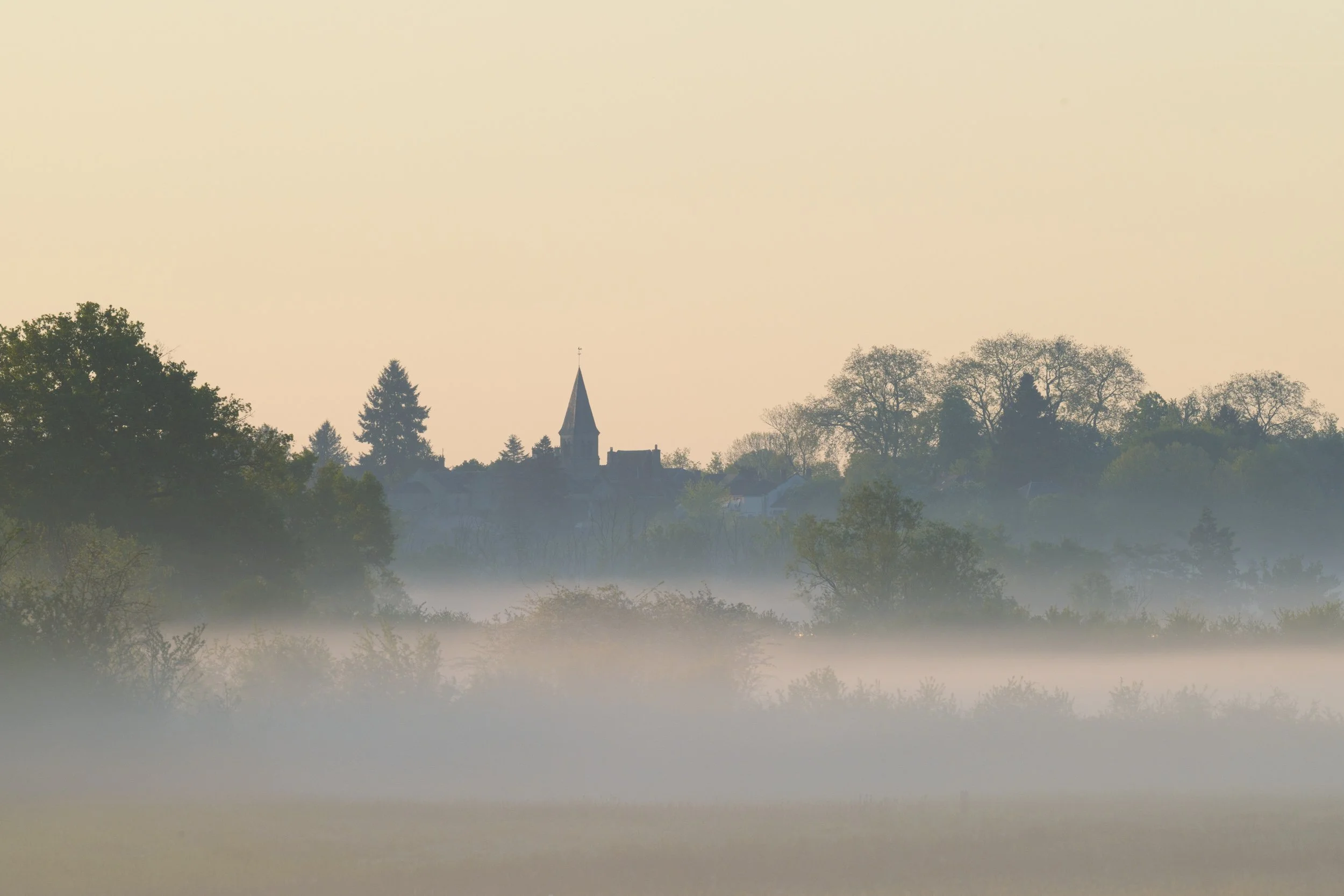 Whatever your photographic goals...