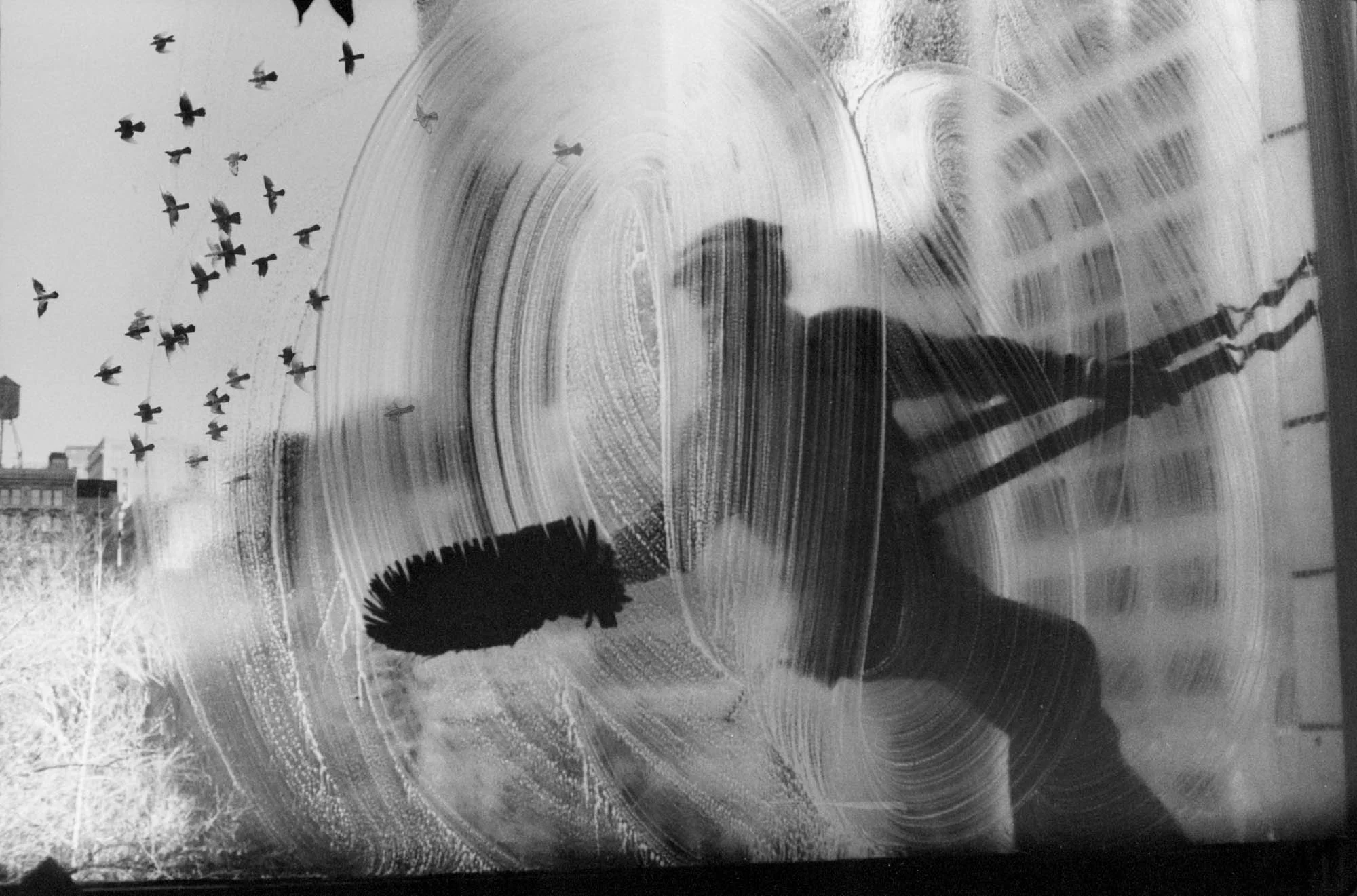 Harold_Feinstein_Window_Washer_1974_Courtesy Galerie_Thierry_Bigaignon.jpg