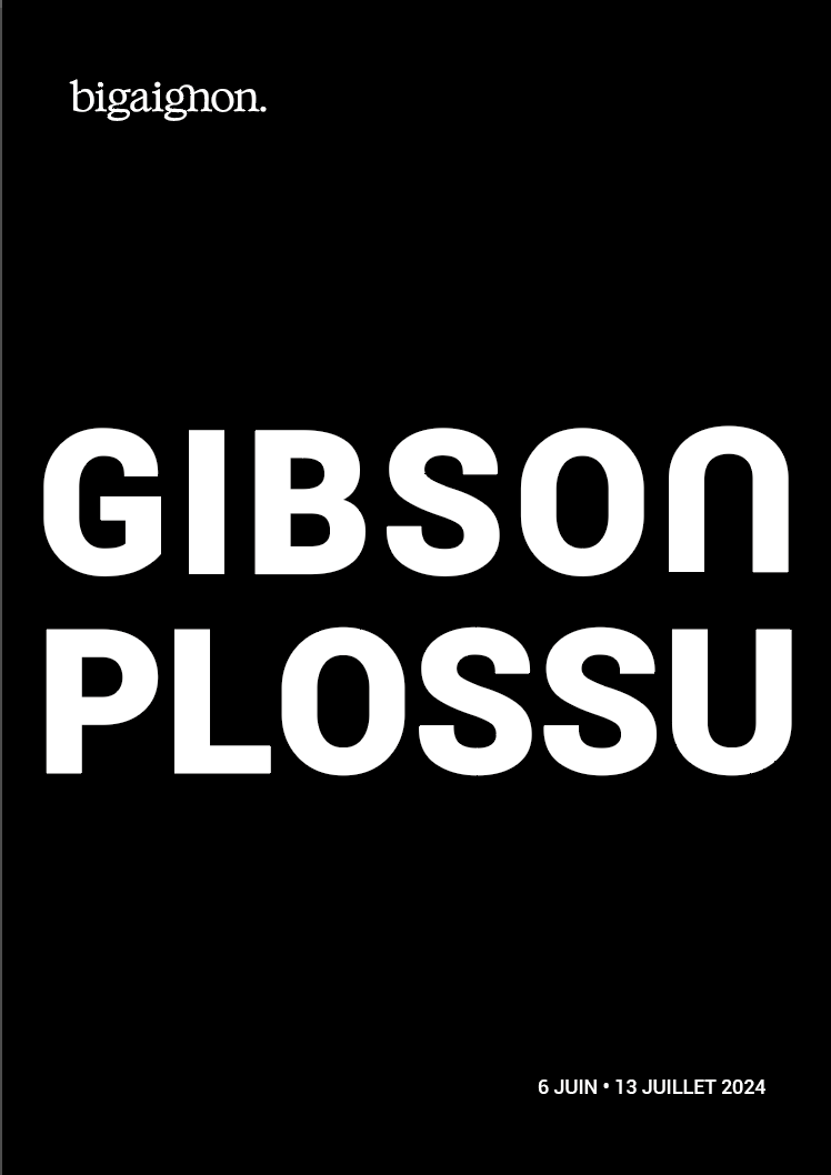 Gibson • Plossu