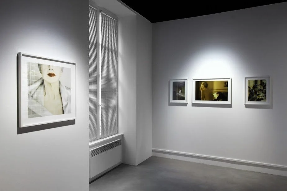 Vue d’installation de l’exposition personnelle ”Looking for the Masters in Ricardo’s Golden Shoes”, Bigaignon, 2016