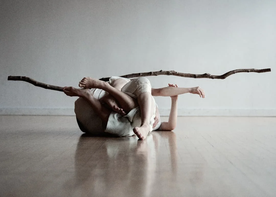 SOLASTALGIA by KASIA WITEK 