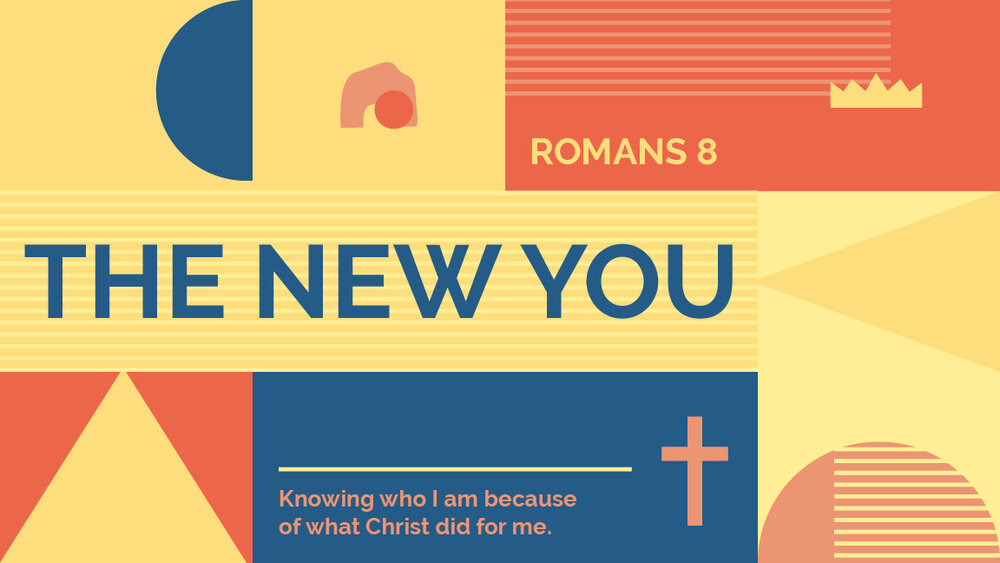 THE NEW YOU_main graphic.jpg