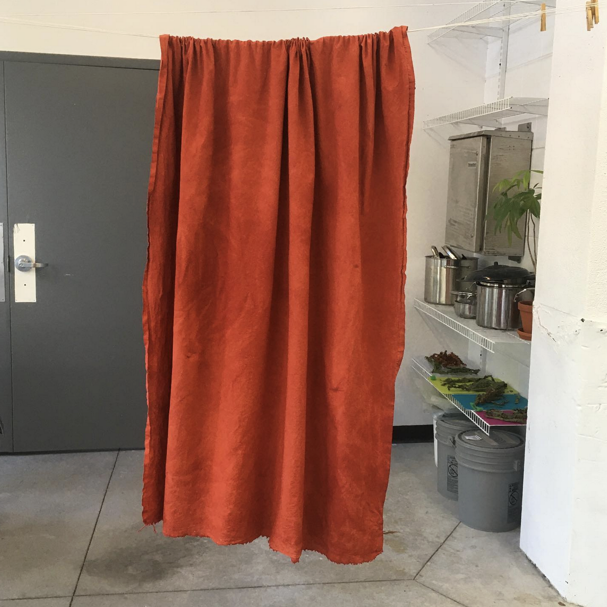 turkey-red project, 2021. cotton muslin dyed with Indian madder (Rubia Cordifolia).