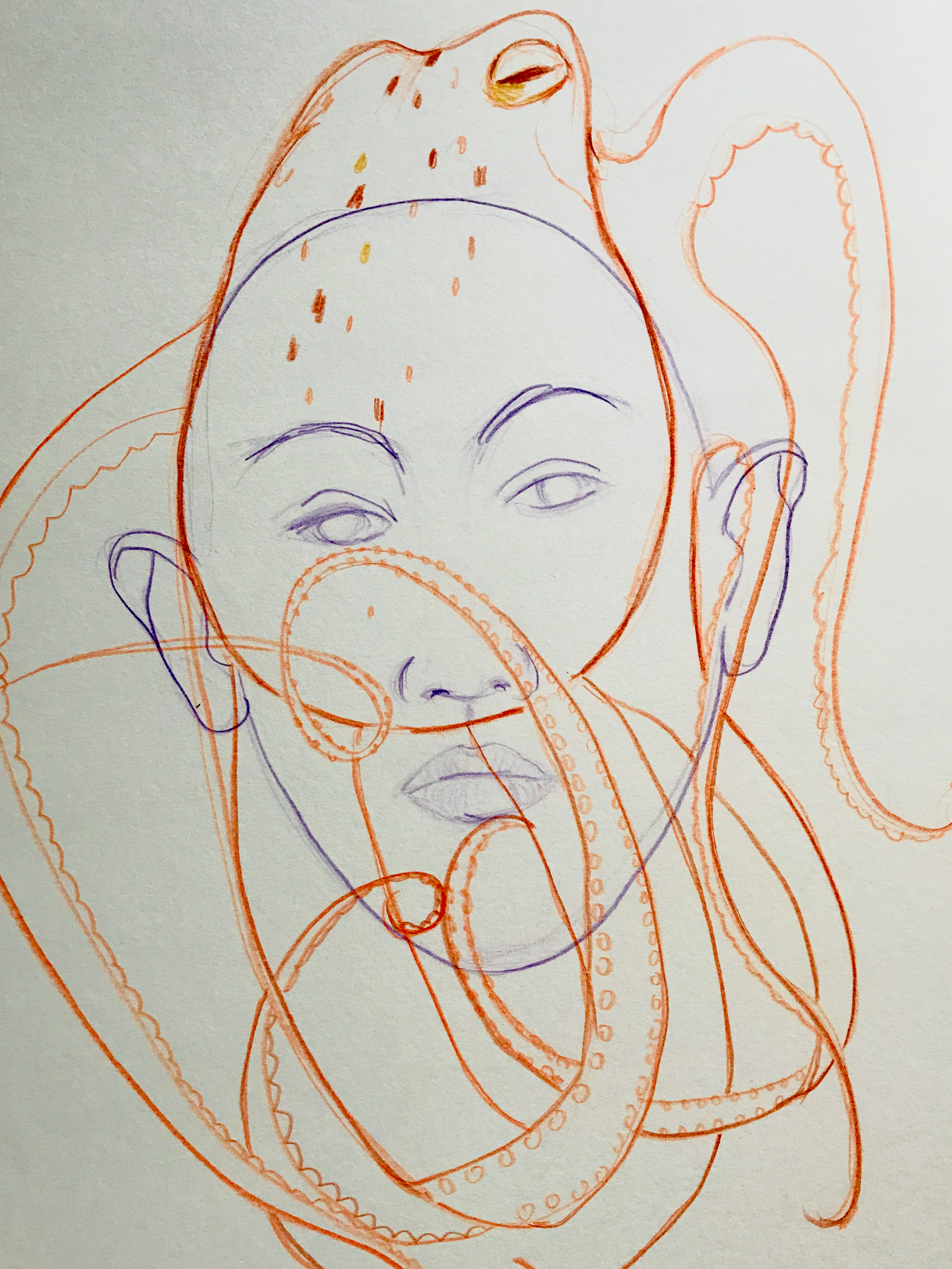  octopus aus der serie ANIMA(L)  Zeichnung auf Papier; 40x60 cm, 2013 