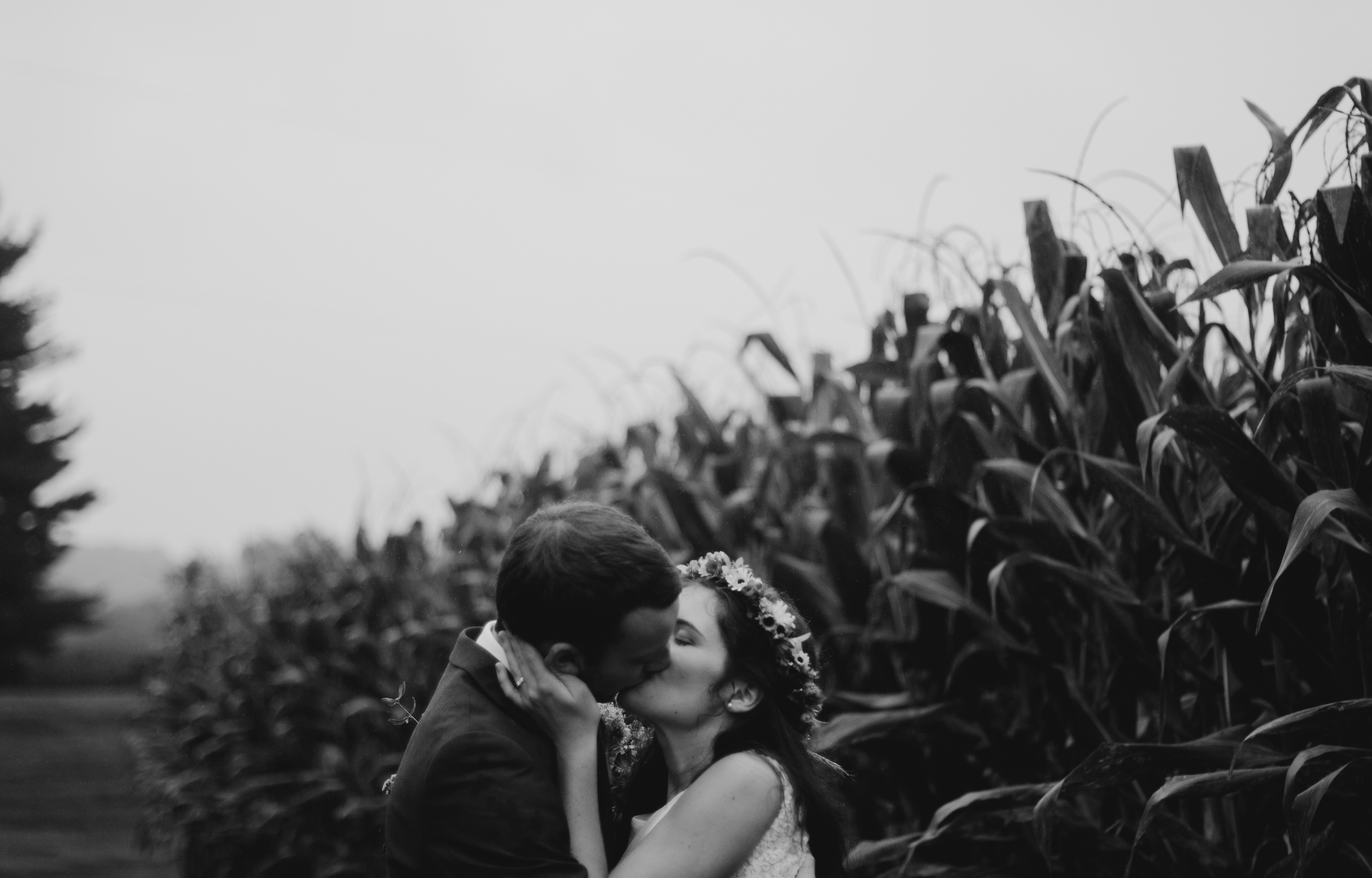 Screen Shot 2019-07-08 at 5.54.37 PM.png