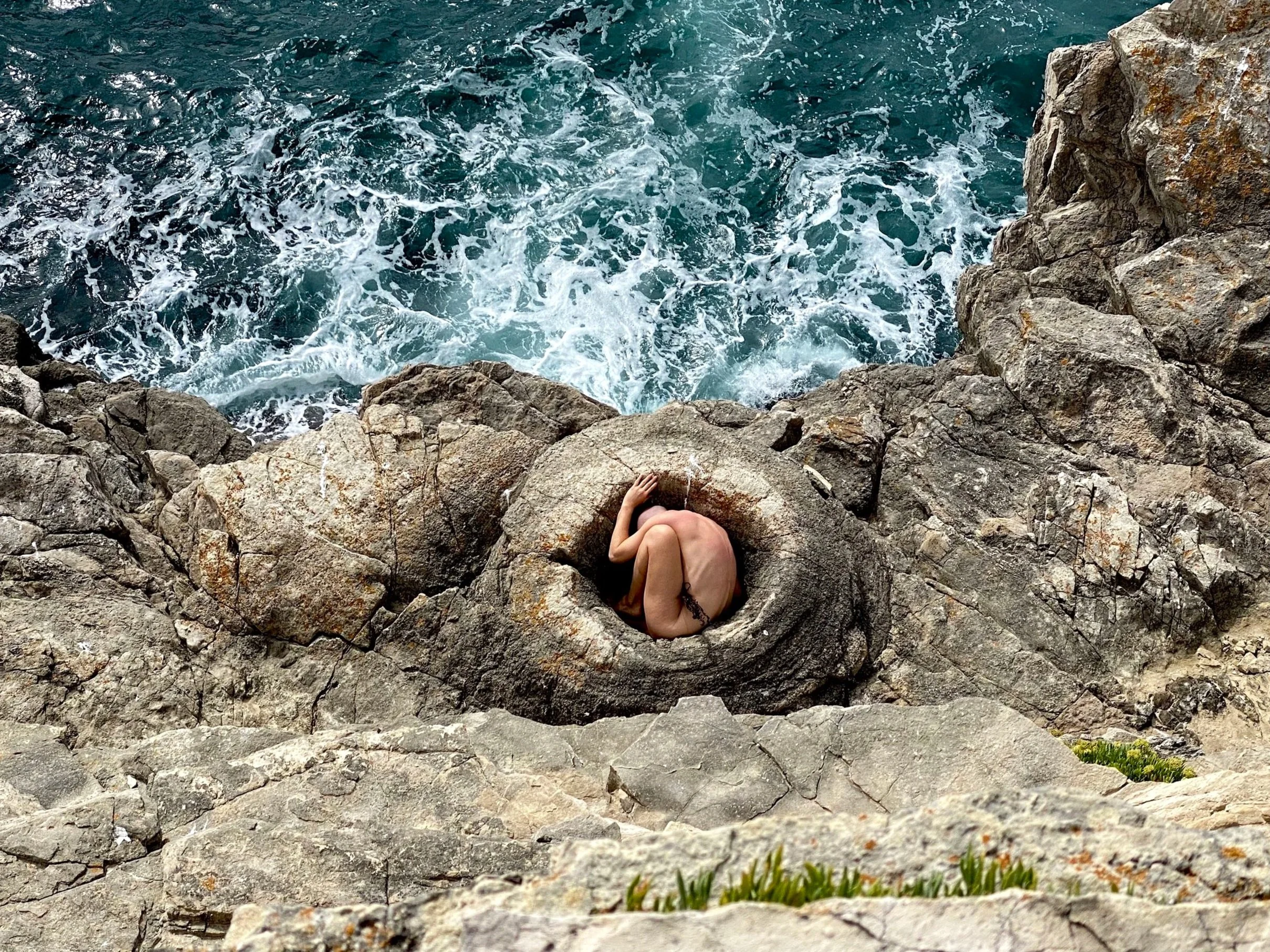 CURRENT: PETRIFIED FORMS