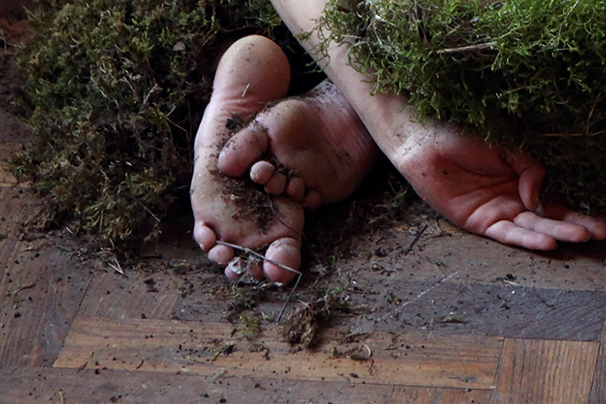 SPORE_tobo sweden 2017 Gustaf Broms.closeup.jpg