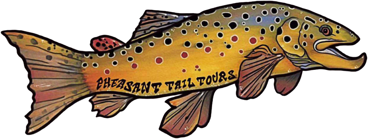 Pheasant Tail Tours - Guided drift boat fly fishing for trout - Deerfield RIver, Massachusetts