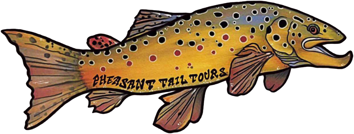 Pheasant Tail Tours - Guided drift boat fly fishing for trout - Deerfield  RIver, Massachusetts