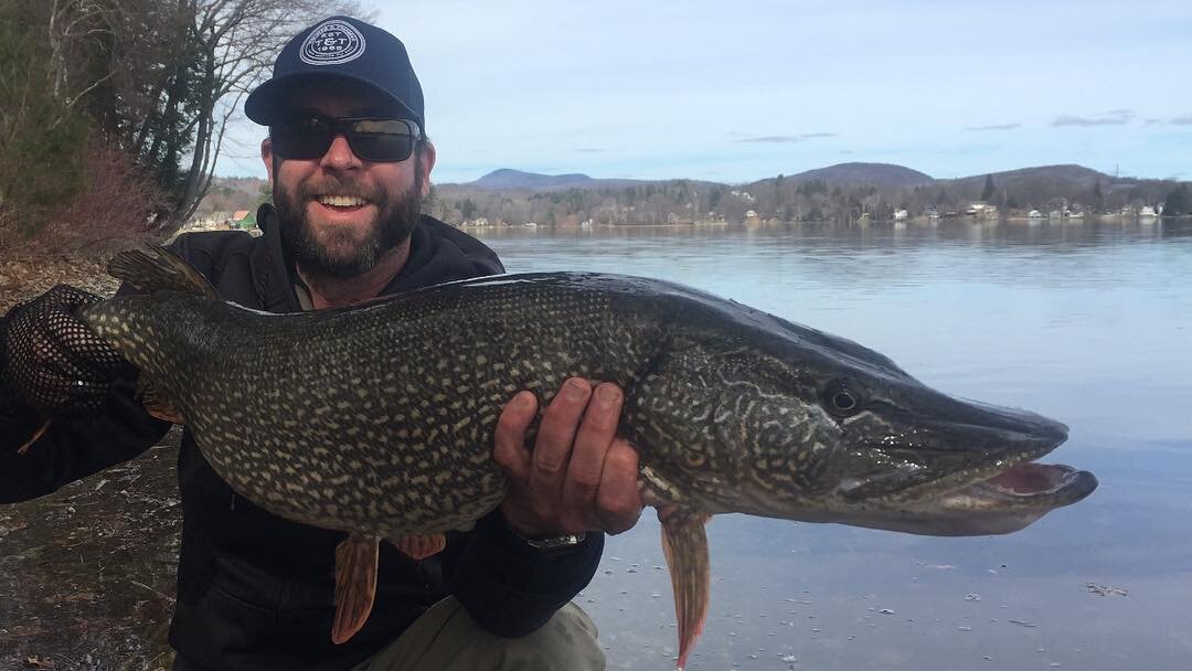 What a gator! My best yet on a fly rod!